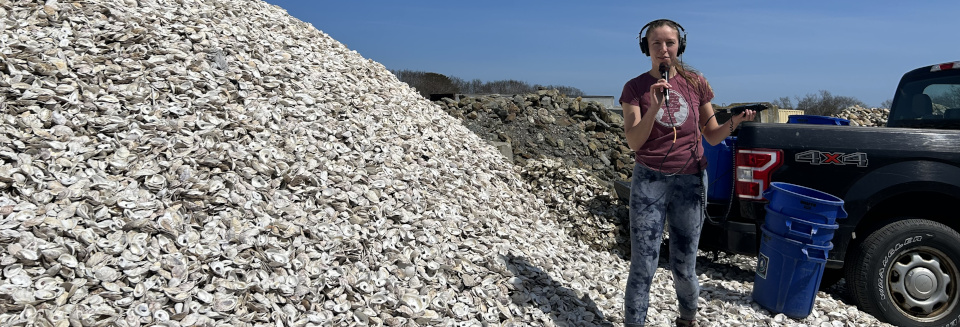 Oysters on the half shell are big business on Nantucket Island, and a local program recycles oyster shells from restaurant waste into habitat for young oysters. These recycled oyster shell reefs are helping to protect the coastline from worsening storms and rising seas.