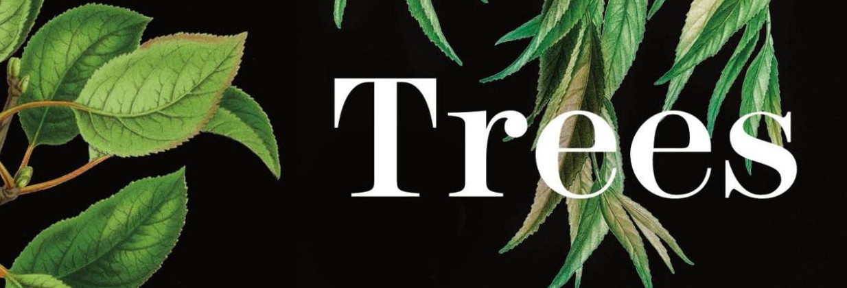 When plant biologist Beronda Montgomery sat down to write <i>When Trees Testify,</i> a personal memoir mixed with a botanical history of African Americans, she found her research as a PhD lab scientist had brought her squarely into the world of social science as well. From her studies of how plants respond to light during photosynthesis, she started shining a light on the history of extensive plant cultivation by African Americans, including those who endured forced labor.